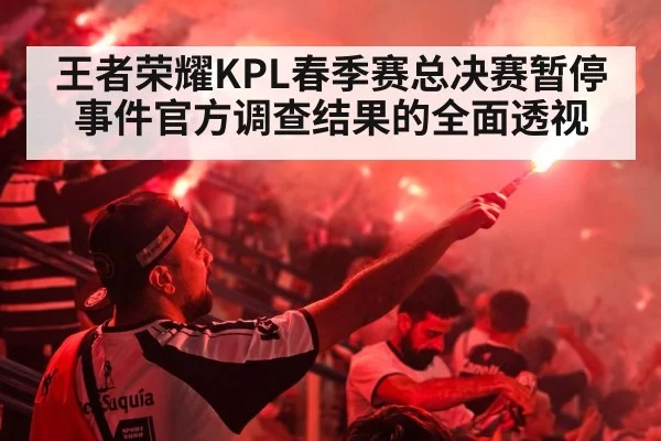 王者荣耀KPL春季赛总决赛暂停事件官方调查结果的全面透视