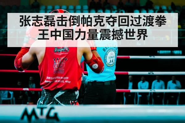张志磊击倒帕克夺回过渡拳王中国力量震撼世界